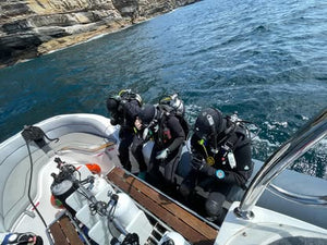 New Scuba Experiences: Exploring Sydney's Shipwrecks with Frog Dive