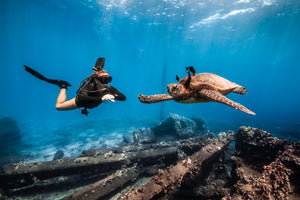 Why Choose Frog Dive for Scuba Diving in Sydney?