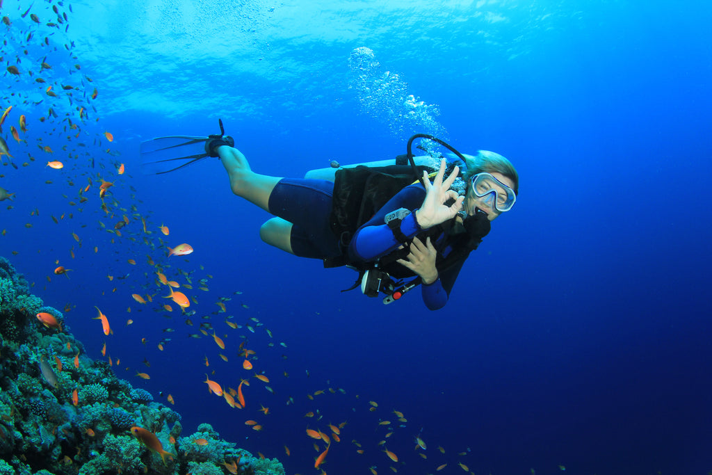 Top 5 Scuba Experiences for Adventure Seekers in Sydney