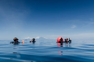 What to Expect During Your First PADI Open Water Diving Course: A Beginner’s Guide